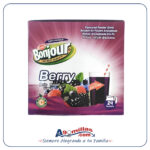 3 Sobres de Refresco Instantáneo BONJOUR x 9g c/u (Sabor Frutos Rojos)